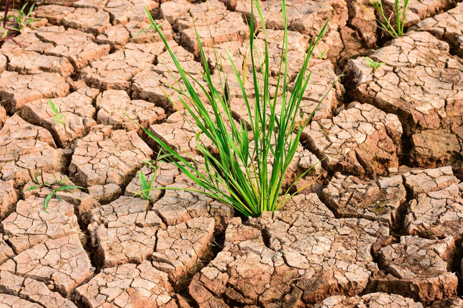 2026 03 19 15.11.11 1536x1024
